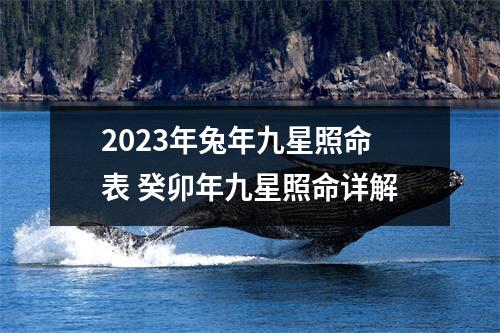 <h3>2025年兔年九星照命表癸卯年九星照命详解