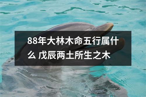<h3>88年大林木命五行属什么戊辰两土所生之木