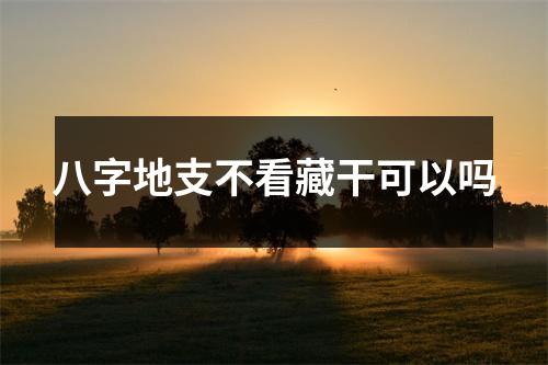 <h3>八字地支不看藏干可以吗
