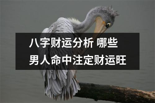 <h3>八字财运分析哪些男人命中注定财运旺
