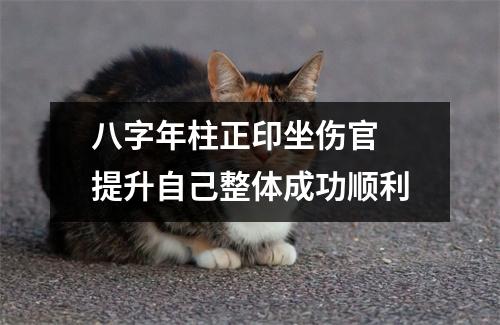 <h3>八字年柱正印坐伤官提升自己整体成功顺利