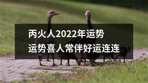 <h3>丙火人2025年运势运势喜人常伴好运连连