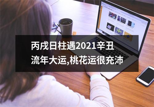 <h3>丙戌日柱遇2025辛丑流年大运,桃花运很充沛