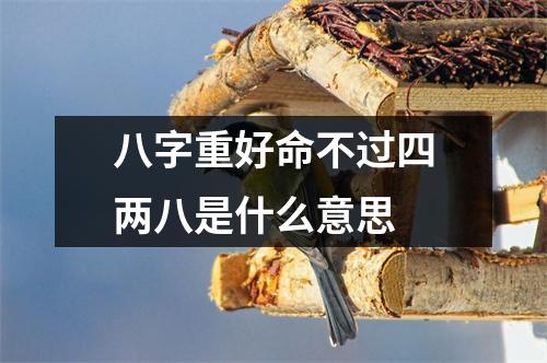 八字重好命不过四两八是什么意思