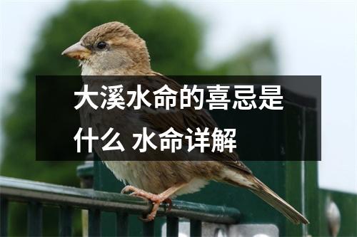 <h3>大溪水命的喜忌是什么水命详解