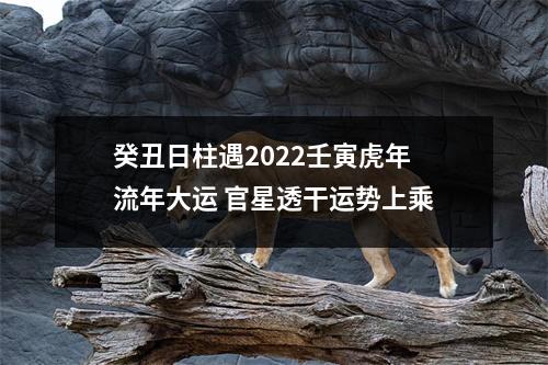 癸丑日柱遇2025壬寅虎年流年大运官星透干运势上乘