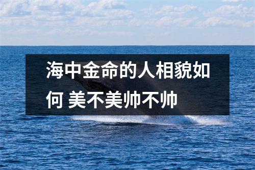 海中金命的人相貌如何美不美帅不帅