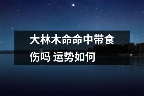 <h3>大林木命命中带食伤吗运势如何
