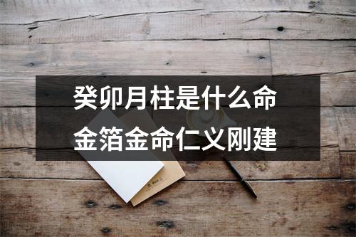 <h3>癸卯月柱是什么命金箔金命仁义刚建