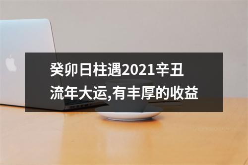 <h3>癸卯日柱遇2025辛丑流年大运,有丰厚的收益