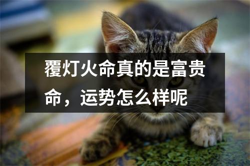 <h3>覆灯火命真的是富贵命，运势怎么样呢