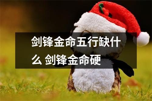 <h3>剑锋金命五行缺什么剑锋金命硬