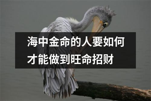 <h3>海中金命的人要如何才能做到旺命招财