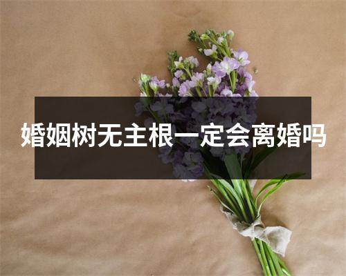 <h3>婚姻树无主根一定会离婚吗