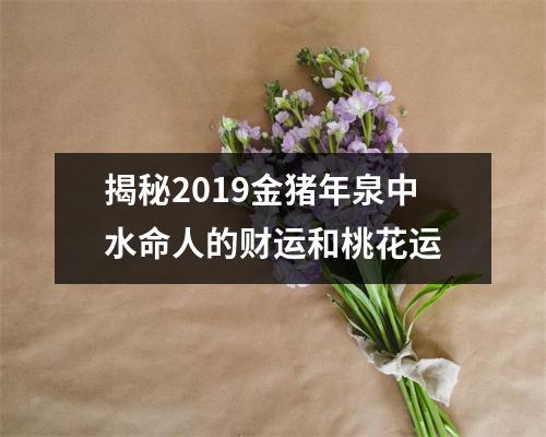 <h3>揭秘2019金猪年泉中水命人的财运和桃花运