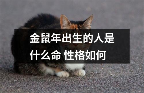 <h3>金鼠年出生的人是什么命性格如何