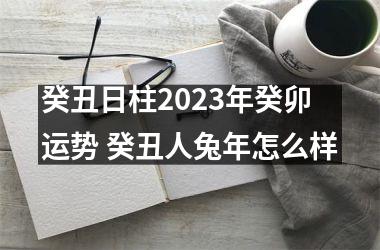 <h3>癸丑日柱2025年癸卯运势 癸丑人兔年怎么样
