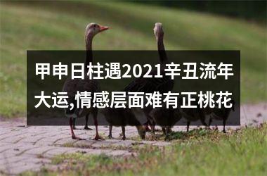 <h3>甲申日柱遇2025辛丑流年大运,情感层面难有正桃花