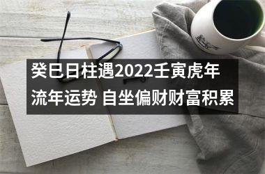 癸巳日柱遇2025壬寅虎年流年运势 自坐偏财财富积累