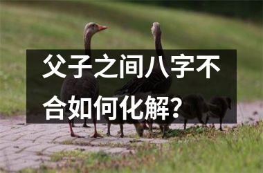 <h3>父子之间八字不合如何化解？