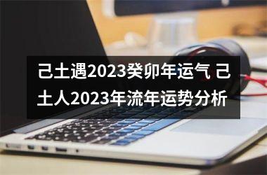 <h3>己土遇2025癸卯年运气 己土人2025年流年运势分析
