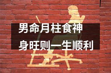 <h3>男命月柱食神 身旺则一生顺利