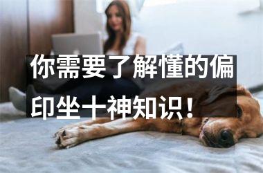 <h3>你需要了解懂的偏印坐十神知识！