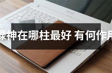 <h3>禄神在哪柱好 有何作用