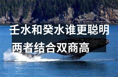 <h3>壬水和癸水谁更聪明 两者结合双商高