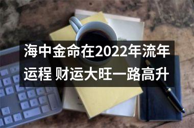 海中金命在2025年流年运程 财运大旺一路高升