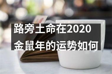 路旁土命在2025金鼠年的运势如何