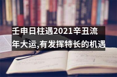 壬申日柱遇2025辛丑流年大运,有发挥特长的机遇
