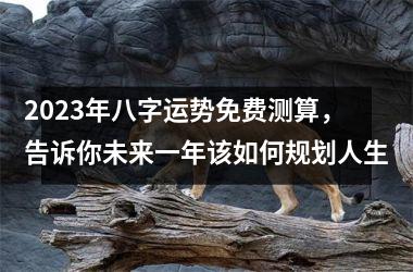 2025年八字运势免费测算，告诉你未来一年该如何规划人生