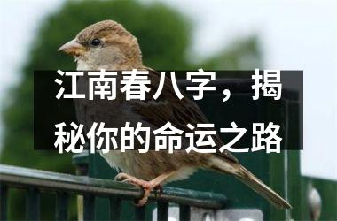 <h3>江南春八字，揭秘你的命运之路