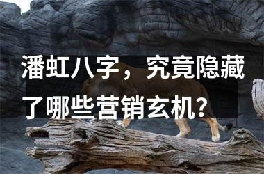 <h3>潘虹八字，究竟隐藏了哪些营销玄机？