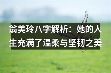<h3>翁美玲八字解析：她的人生充满了温柔与坚韧之美