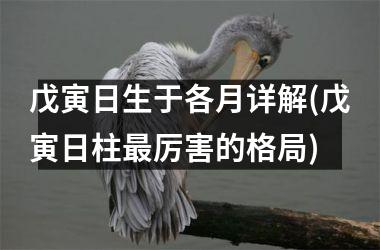 戊寅日生于各月详解(戊寅日柱厉害的格局)