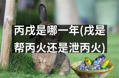 <h3>丙戌是哪一年(戌是帮丙火还是泄丙火)