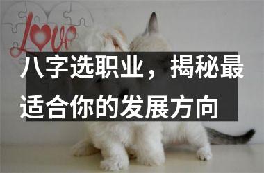 <h3>八字选职业，揭秘适合你的发展方向