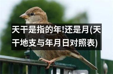 <h3>天干是指的年!还是月(天干地支与年月日对照表)