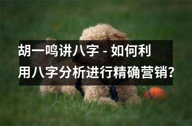 <h3>胡一鸣讲八字 - 如何利用八字分析进行精确营销？
