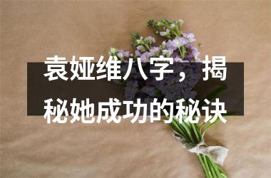 <h3>袁娅维八字，揭秘她成功的秘诀
