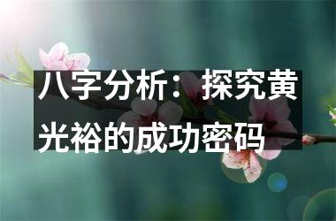 <h3>八字分析：探究黄光裕的成功密码