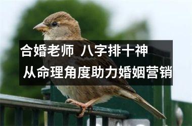 <h3>合婚老师  八字排十神  从命理角度助力婚姻营销