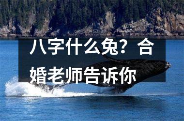 <h3>八字什么兔？合婚老师告诉你