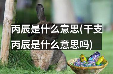 丙辰是什么意思(干支丙辰是什么意思吗)