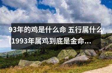 93年的鸡是什么命 五行属什么(1993年属鸡到底是金命还是水命)