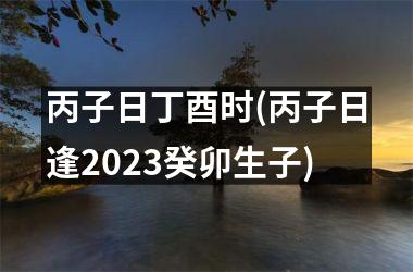 <h3>丙子日丁酉时(丙子日逢2025癸卯生子)