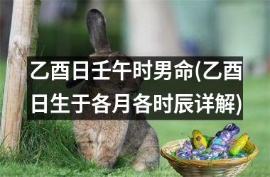 乙酉日壬午时男命(乙酉日生于各月各时辰详解)