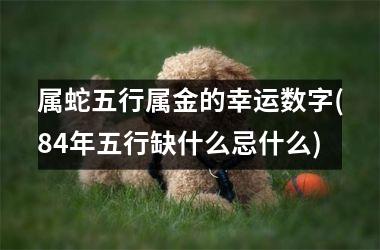 <h3>属蛇五行属金的幸运数字(84年五行缺什么忌什么)